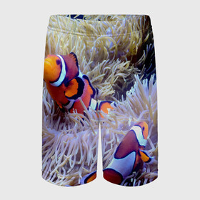 Детские спортивные шорты 3D с принтом Клоуны в актинии ,  100% полиэстер
 | пояс оформлен широкой мягкой резинкой, ткань тянется
 | актиния | клоуны | коралловые | море | подводный мир | рыбки