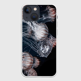 Чехол для iPhone 13 mini с принтом Медузы ,  |  | глубина | медузы | море | морские обитатели | океан | подводный мир