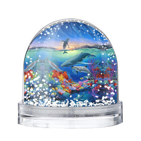Игрушка Снежный шар с принтом Киты и дельфины , Пластик | Изображение внутри шара печатается на глянцевой фотобумаге с двух сторон | горы | дельфины | закат солнца | киты | кораллы | море | океан | подводный мир
