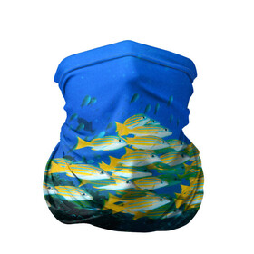 Бандана-труба 3D с принтом Коралловые рыбки , 100% полиэстер, ткань с особыми свойствами — Activecool | плотность 150‒180 г/м2; хорошо тянется, но сохраняет форму | коралловые | кораллы | море | морские обитатели | океан | подводный мир | рыбки
