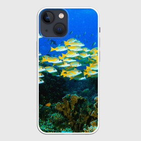 Чехол для iPhone 13 mini с принтом Коралловые рыбки ,  |  | коралловые | кораллы | море | морские обитатели | океан | подводный мир | рыбки