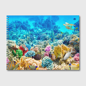 Альбом для рисования с принтом Риф , 100% бумага
 | матовая бумага, плотность 200 мг. | коралловый риф | полосатые рыбы | риф | рыбы | сказочный риф