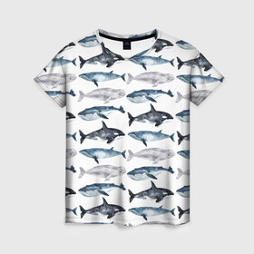 Женская футболка 3D с принтом киты , 100% полиэфир ( синтетическое хлопкоподобное полотно) | прямой крой, круглый вырез горловины, длина до линии бедер | ocean | sea | касатки | киты | море | морские мотивы | морской принт | морской фон | океан | паттерн | рыбы | текстуры