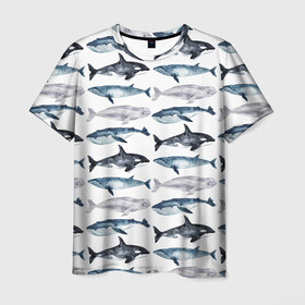 Мужская футболка 3D с принтом киты , 100% полиэфир | прямой крой, круглый вырез горловины, длина до линии бедер | ocean | sea | касатки | киты | море | морские мотивы | морской принт | морской фон | океан | паттерн | рыбы | текстуры