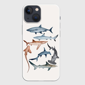 Чехол для iPhone 13 mini с принтом акулы ,  |  | ocean | sea | sea animal | акулы | графика | море | океан | рисунок