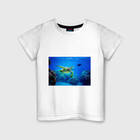 Детская футболка хлопок с принтом Морская черепаха , 100% хлопок | круглый вырез горловины, полуприлегающий силуэт, длина до линии бедер | морская черепаха | океан | подводный мир | черепаха