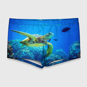 Мужские купальные плавки 3D с принтом Морская черепаха , Полиэстер 85%, Спандекс 15% |  | Тематика изображения на принте: морская черепаха | океан | подводный мир | черепаха