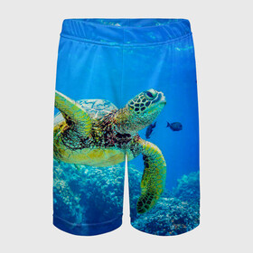 Детские спортивные шорты 3D с принтом Морская черепаха ,  100% полиэстер
 | пояс оформлен широкой мягкой резинкой, ткань тянется
 | Тематика изображения на принте: морская черепаха | океан | подводный мир | черепаха