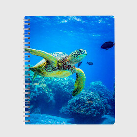 Тетрадь с принтом Морская черепаха , 100% бумага | 48 листов, плотность листов — 60 г/м2, плотность картонной обложки — 250 г/м2. Листы скреплены сбоку удобной пружинной спиралью. Уголки страниц и обложки скругленные. Цвет линий — светло-серый
 | морская черепаха | океан | подводный мир | черепаха