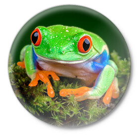 Значок с принтом Тропическая лягушка ,  металл | круглая форма, металлическая застежка в виде булавки | зеленая лягушка | лягушка | тропики
