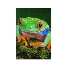 Обложка для паспорта матовая кожа с принтом Тропическая лягушка , натуральная матовая кожа | размер 19,3 х 13,7 см; прозрачные пластиковые крепления | Тематика изображения на принте: зеленая лягушка | лягушка | тропики