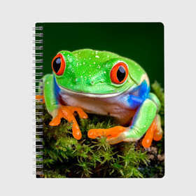 Тетрадь с принтом Тропическая лягушка , 100% бумага | 48 листов, плотность листов — 60 г/м2, плотность картонной обложки — 250 г/м2. Листы скреплены сбоку удобной пружинной спиралью. Уголки страниц и обложки скругленные. Цвет линий — светло-серый
 | Тематика изображения на принте: зеленая лягушка | лягушка | тропики