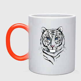 Кружка хамелеон с принтом Белый тигр , керамика | меняет цвет при нагревании, емкость 330 мл | альфа | белый | дикие | дикий | животные | звери | зверь | кот | котик | крутой | полоски | принт | природа | самец | тигр | тигриныйкрасивый