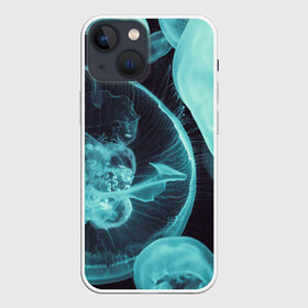 Чехол для iPhone 13 mini с принтом Медуза ,  |  | medusa | животные | медузы | мир | подводный | рыбы | щупальца