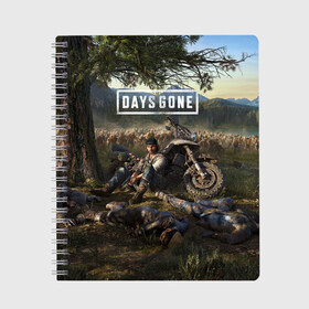 Тетрадь с принтом Days gone Дикон и толпа фриков , 100% бумага | 48 листов, плотность листов — 60 г/м2, плотность картонной обложки — 250 г/м2. Листы скреплены сбоку удобной пружинной спиралью. Уголки страниц и обложки скругленные. Цвет линий — светло-серый
 | action | animals | days gone | deacon | gamer | games | nextgen | pandemic | pc | player | playstation | ps 5 | steam | top | valve | weapon | xbox | zombie | валв | видео игры | животные | жизнь после | зомби | игрок | иксбокс | некстген | оружи