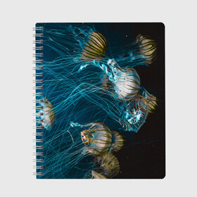 Тетрадь с принтом Медузы , 100% бумага | 48 листов, плотность листов — 60 г/м2, плотность картонной обложки — 250 г/м2. Листы скреплены сбоку удобной пружинной спиралью. Уголки страниц и обложки скругленные. Цвет линий — светло-серый
 | medusa | животные | медузы | мир | подводный | рыбы | щупальца