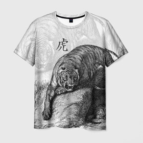 Мужская футболка 3D с принтом Тигр и змея , 100% полиэфир | прямой крой, круглый вырез горловины, длина до линии бедер | дикий.природа | животные | зверь | змея | иероглиф | кошка | надпись на японском | тигр