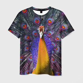 Мужская футболка 3D с принтом Павлин , 100% полиэфир | прямой крой, круглый вырез горловины, длина до линии бедер | peacock | peafowl | plumage | оперение | павлин