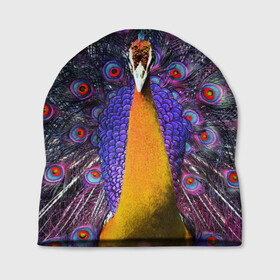 Шапка 3D с принтом Павлин , 100% полиэстер | универсальный размер, печать по всей поверхности изделия | peacock | peafowl | plumage | оперение | павлин
