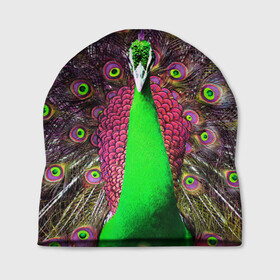 Шапка 3D с принтом Оперение Павлина , 100% полиэстер | универсальный размер, печать по всей поверхности изделия | peacock | peafowl | plumage | оперение | павлин