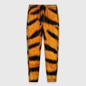 Мужские брюки 3D с принтом Шкура Тигра , 100% полиэстер | манжеты по низу, эластичный пояс регулируется шнурком, по бокам два кармана без застежек, внутренняя часть кармана из мелкой сетки | skin | tiger | wool | тигр
