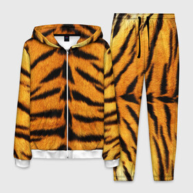 Мужской костюм 3D с принтом Шкура Тигра , 100% полиэстер | Манжеты и пояс оформлены тканевой резинкой, двухслойный капюшон со шнурком для регулировки, карманы спереди | skin | tiger | wool | тигр