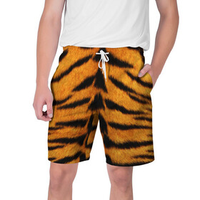 Мужские шорты 3D с принтом Шкура Тигра ,  полиэстер 100% | прямой крой, два кармана без застежек по бокам. Мягкая трикотажная резинка на поясе, внутри которой широкие завязки. Длина чуть выше колен | Тематика изображения на принте: skin | tiger | wool | тигр