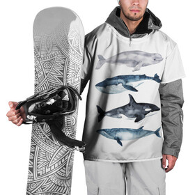 Накидка на куртку 3D с принтом киты , 100% полиэстер |  | ocean | orca | sea | sea animal | whale | белуха | дельфин | касатка | кит | море | океан | рисунок кита | синий кит