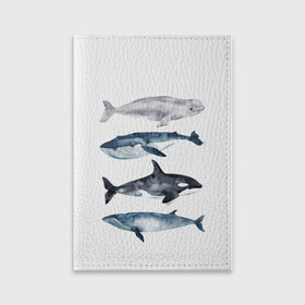 Обложка для паспорта матовая кожа с принтом киты , натуральная матовая кожа | размер 19,3 х 13,7 см; прозрачные пластиковые крепления | Тематика изображения на принте: ocean | orca | sea | sea animal | whale | белуха | дельфин | касатка | кит | море | океан | рисунок кита | синий кит