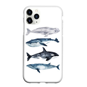 Чехол для iPhone 11 Pro матовый с принтом киты , Силикон |  | ocean | orca | sea | sea animal | whale | белуха | дельфин | касатка | кит | море | океан | рисунок кита | синий кит