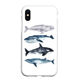 Чехол для iPhone XS Max матовый с принтом киты , Силикон | Область печати: задняя сторона чехла, без боковых панелей | ocean | orca | sea | sea animal | whale | белуха | дельфин | касатка | кит | море | океан | рисунок кита | синий кит