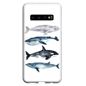 Чехол для Samsung Galaxy S10 с принтом киты , Силикон | Область печати: задняя сторона чехла, без боковых панелей | ocean | orca | sea | sea animal | whale | белуха | дельфин | касатка | кит | море | океан | рисунок кита | синий кит