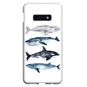 Чехол для Samsung S10E с принтом киты , Силикон | Область печати: задняя сторона чехла, без боковых панелей | ocean | orca | sea | sea animal | whale | белуха | дельфин | касатка | кит | море | океан | рисунок кита | синий кит