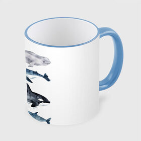 Кружка с принтом киты , керамика | ёмкость 330 мл | Тематика изображения на принте: ocean | orca | sea | sea animal | whale | белуха | дельфин | касатка | кит | море | океан | рисунок кита | синий кит