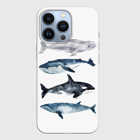 Чехол для iPhone 13 Pro с принтом киты ,  |  | ocean | orca | sea | sea animal | whale | белуха | дельфин | касатка | кит | море | океан | рисунок кита | синий кит