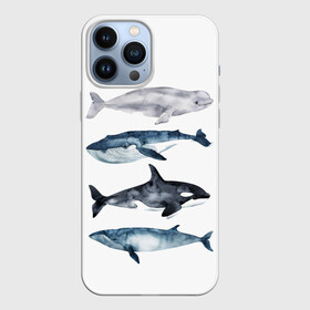 Чехол для iPhone 13 Pro Max с принтом киты ,  |  | ocean | orca | sea | sea animal | whale | белуха | дельфин | касатка | кит | море | океан | рисунок кита | синий кит