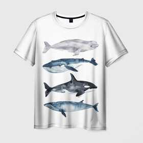 Мужская футболка 3D с принтом киты , 100% полиэфир | прямой крой, круглый вырез горловины, длина до линии бедер | ocean | orca | sea | sea animal | whale | белуха | дельфин | касатка | кит | море | океан | рисунок кита | синий кит