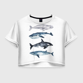 Женская футболка Crop-top 3D с принтом киты , 100% полиэстер | круглая горловина, длина футболки до линии талии, рукава с отворотами | ocean | orca | sea | sea animal | whale | белуха | дельфин | касатка | кит | море | океан | рисунок кита | синий кит