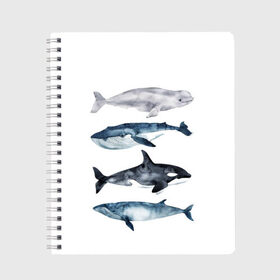 Тетрадь с принтом киты , 100% бумага | 48 листов, плотность листов — 60 г/м2, плотность картонной обложки — 250 г/м2. Листы скреплены сбоку удобной пружинной спиралью. Уголки страниц и обложки скругленные. Цвет линий — светло-серый
 | Тематика изображения на принте: ocean | orca | sea | sea animal | whale | белуха | дельфин | касатка | кит | море | океан | рисунок кита | синий кит