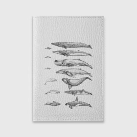 Обложка для паспорта матовая кожа с принтом киты графика , натуральная матовая кожа | размер 19,3 х 13,7 см; прозрачные пластиковые крепления | Тематика изображения на принте: ocean | orca | sea | sea animal | whale | графика | дельфин | касатка | кит | море | океан | плакат | рисунок кита