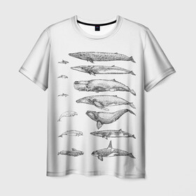 Мужская футболка 3D с принтом киты графика , 100% полиэфир | прямой крой, круглый вырез горловины, длина до линии бедер | ocean | orca | sea | sea animal | whale | графика | дельфин | касатка | кит | море | океан | плакат | рисунок кита