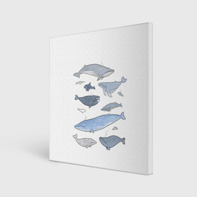Холст квадратный с принтом киты , 100% ПВХ |  | Тематика изображения на принте: ocean | orca | sea | sea animal | whale | графика | дельфин | иллюстрация | касатка | кит | море | океан | рисунок кита