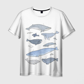 Мужская футболка 3D с принтом киты , 100% полиэфир | прямой крой, круглый вырез горловины, длина до линии бедер | ocean | orca | sea | sea animal | whale | графика | дельфин | иллюстрация | касатка | кит | море | океан | рисунок кита