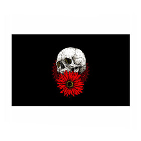 Бумага для упаковки 3D с принтом Череп и Красный Цветок Skull , пластик и полированная сталь | круглая форма, металлическое крепление в виде кольца | flowers | head | skulls | букет | голова | животные | кости | мозги | паттерн | полосы | природа | розы | скелет | текстура | узор | флора | хо | цветы | черепа | черный | яркий