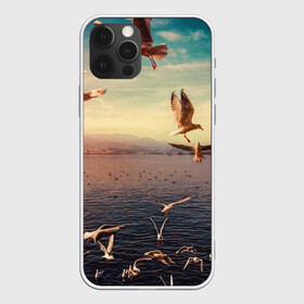 Чехол для iPhone 12 Pro с принтом Чайки на воде , силикон | область печати: задняя сторона чехла, без боковых панелей | Тематика изображения на принте: вода | горы | закат | море | море чайки | на воде | озеро | птица | птицу чайку | птицы | суша | чайка | чайка 2 | чайка птица | чайка чайку | чайки | чайки на воде | чайков | чайку 2