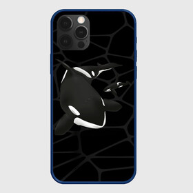 Чехол для iPhone 12 Pro с принтом Косатки , силикон | область печати: задняя сторона чехла, без боковых панелей | Тематика изображения на принте: whale | кит | косатка | косатки | морские