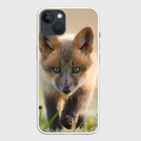 Чехол для iPhone 13 с принтом Лисичка ,  |  | fox | foxy | животное | звери | лиса | лисенок | лисичка | милая | рыжая | фокс