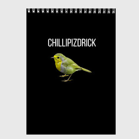 Скетчбук с принтом CHILLIPIZDRICK , 100% бумага
 | 48 листов, плотность листов — 100 г/м2, плотность картонной обложки — 250 г/м2. Листы скреплены сверху удобной пружинной спиралью | Тематика изображения на принте: chill | птица | фразы | чил