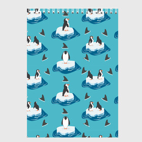 Скетчбук с принтом Пингвины , 100% бумага
 | 48 листов, плотность листов — 100 г/м2, плотность картонной обложки — 250 г/м2. Листы скреплены сверху удобной пружинной спиралью | море | морские | океан | пингвин | пингвинчик | пингвины | плавники акул