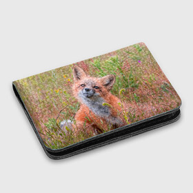 Картхолдер с принтом с принтом Лисичка , натуральная матовая кожа | размер 7,3 х 10 см; кардхолдер имеет 4 кармана для карт; | fox | foxy | животное | звери | лиса | лисенок | лисичка | милая | рыжая | фокс